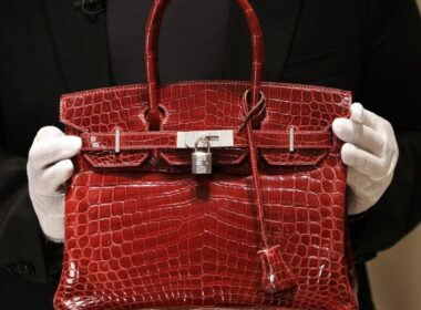 Hermès Exceptional Collection Shiny Rouge H Of Sea Crocodile Leather